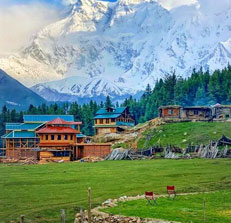 Shimla